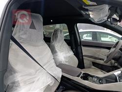 بي واي دي سونغ L DM-i